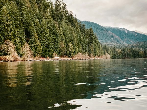 Quelles sont les meilleures techniques pour camper en bord de lac en été?