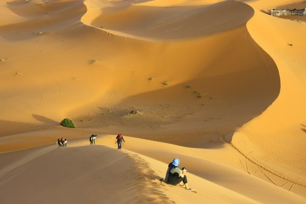 Quels sont les meilleurs itinéraires pour un road trip à travers le désert du Sahara : conseils et équipements ?